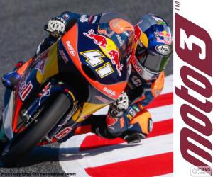 Brad Binder, Moto3 2016 puzzle