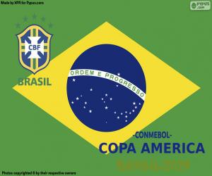 Brazil, Champion Copa America 2019 puzzle