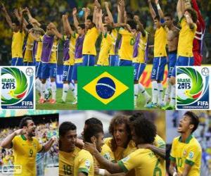Brazil Cup FIFA Confederations 2013 puzzle