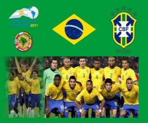 Brazil National Team, Group B, Argentina 2011 puzzle