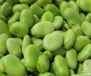 Broad beans puzzle