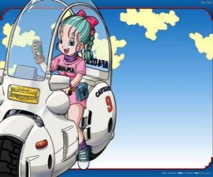 Bulma with his bike puzzle