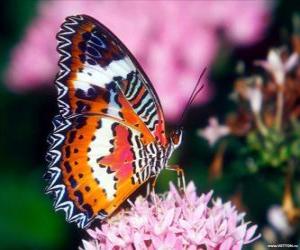 Butterfly on a flower puzzle