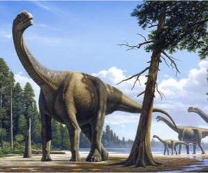 Camarasaurus in the landscape puzzle