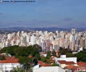 Campinas, Brazil puzzle