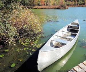 Canoe puzzle