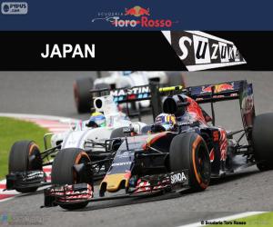 Carlos Sainz Jr., 2016 Japanese GP puzzle