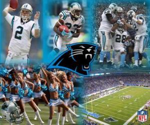 Carolina Panthers puzzle