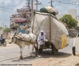 Cart pulled by an ox puzzle