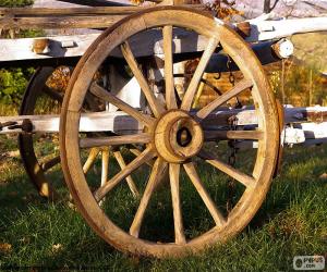 Cart wheel puzzle