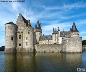Castle of Sully-sur-Loire, France puzzle