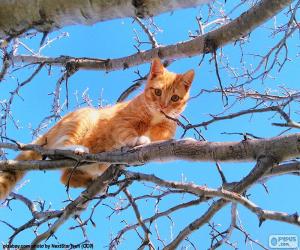 Cat on a branch puzzle