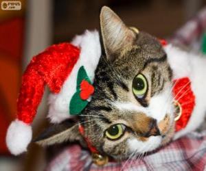 Cat with a Santa Claus hat puzzle