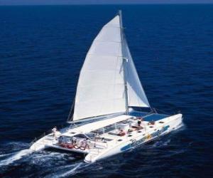 Catamaran puzzle