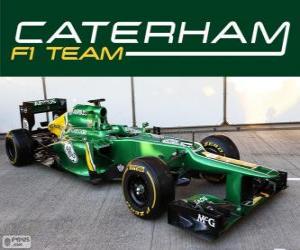 Caterham CT03 - 2013 - puzzle