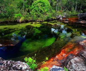 Caño Cristales, Colombia puzzle