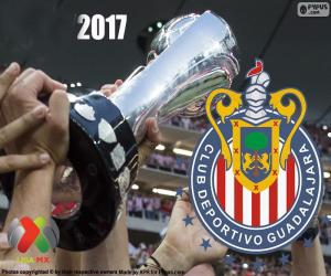 C.D. Guadalajara, Clausura 2017 champion puzzle