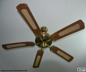 Ceiling fan puzzle