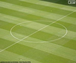 Center circle of a soccer field puzzle