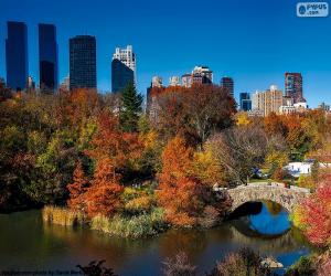 Central Park, New York puzzle