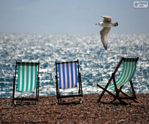 Chairs and gull puzzle