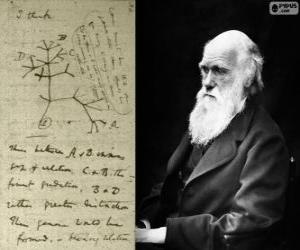 Charles Darwin (1809-1882), british biologist puzzle