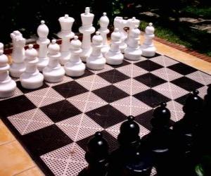 Chessboard with all pieces placed to start the game puzzle