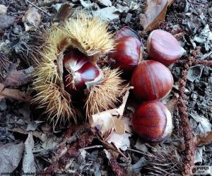 Chestnuts puzzle