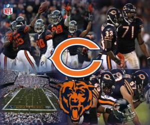 Chicago Bears puzzle