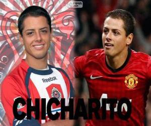 Chicharito puzzle