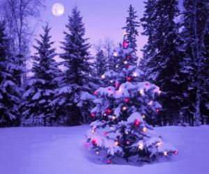 Christmas firs in a snowy landscape with the moon in the sky puzzle