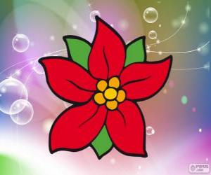 Christmas flower puzzle