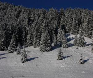 Christmas trees in a snowy landscape puzzle