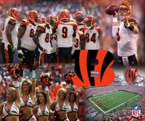 Cincinnati Bengals puzzle