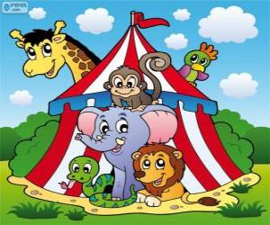 Circus animals puzzle