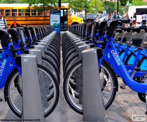 Citi Bike, New York puzzle