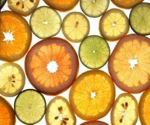 Citrus fruits puzzle