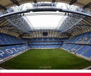 City Stadium (41.609) puzzle