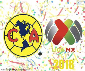 Club America, 2018 Apertura champion puzzle