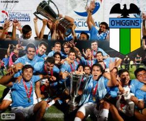 Club Deportivo O'Higgins, Chilean champion Apertura 2013 puzzle