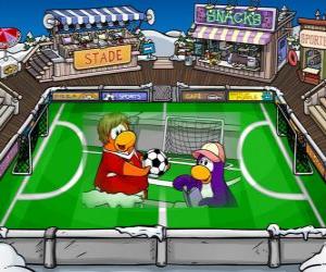 Club Penguin: The football game in the Club Penguin puzzle