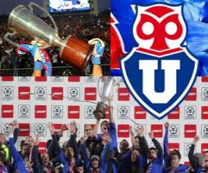 Club Universidad de Chile, Chilean champion Apertura 2012 puzzle