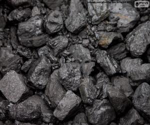 Coal puzzle