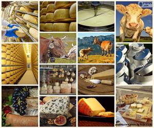 Collage of cheese puzzle