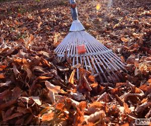 Collecting the leaves puzzle