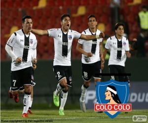 Colo-Colo, Apertura 2015 puzzle