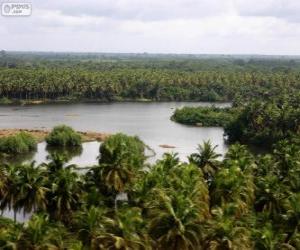 Comoé National Park, Côte d'Ivoire puzzle