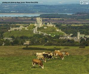 Corfe Castle, England puzzle