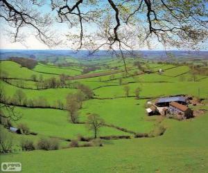Countryside of Devon, Great Britain puzzle