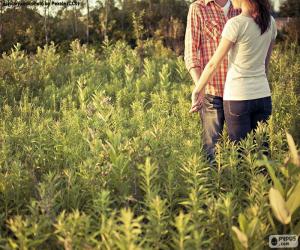 Couple in the field puzzle